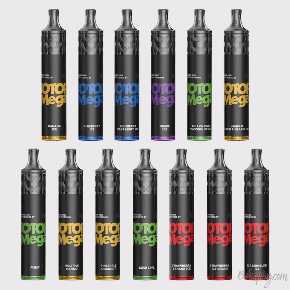 Wotofo Mega Vape Pen 2.jpg