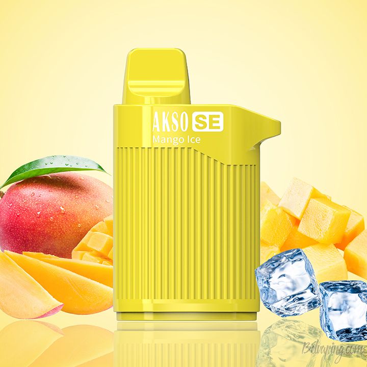 HCigar AKSO SE Disposable Vape Box 4.jpg