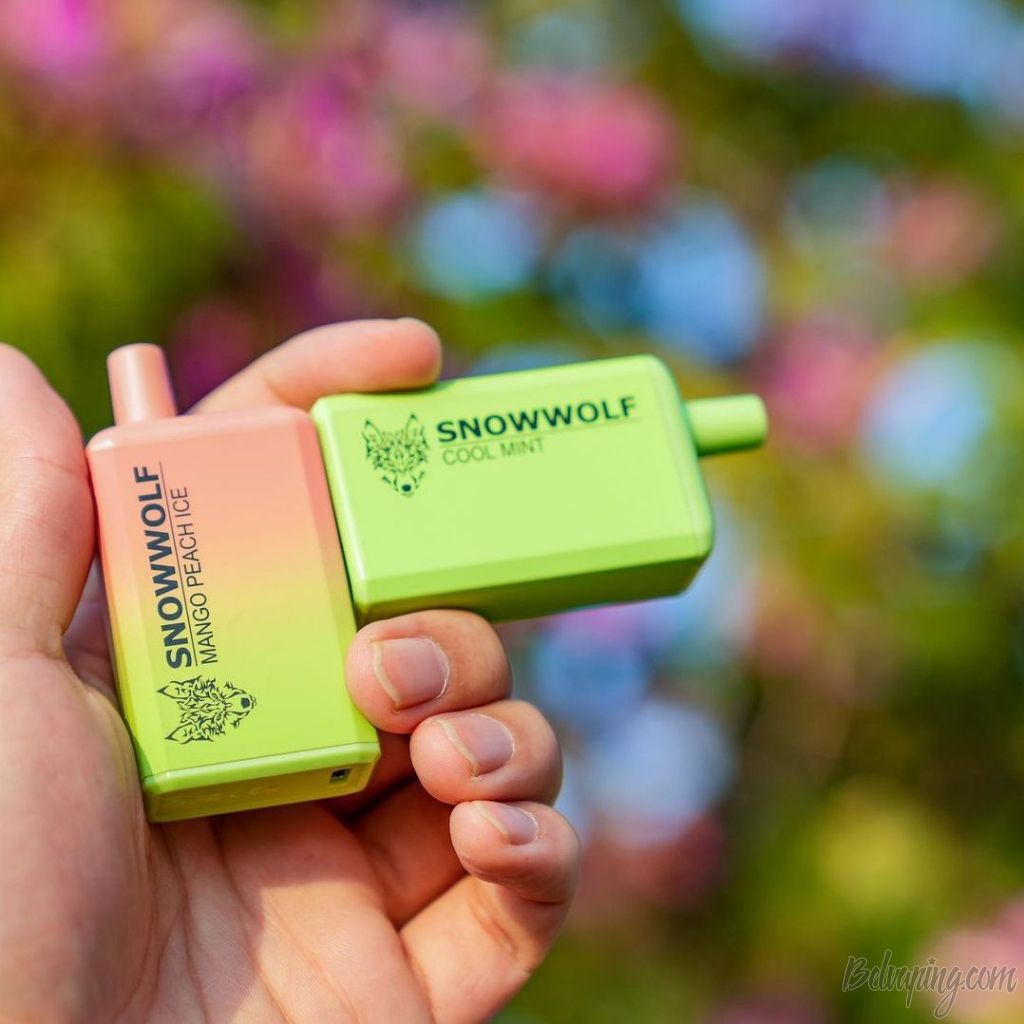 Snowwolf Max 6000 Disposable Kit 0.jpg