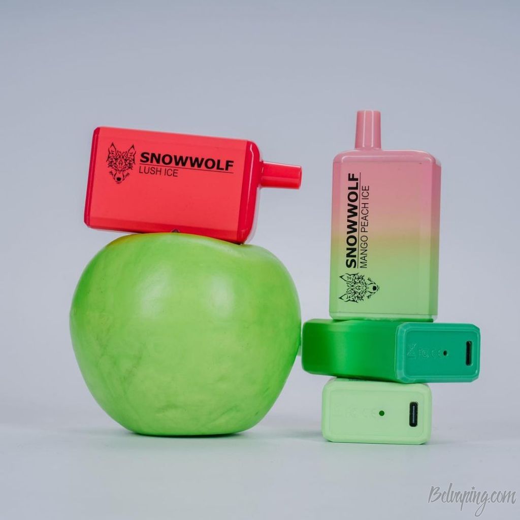 Snowwolf Max 6000 Disposable Kit 2.jpg