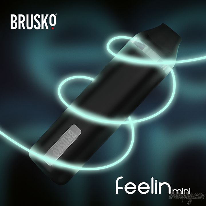 BRUSKO FEELIN MINI 2.jpg