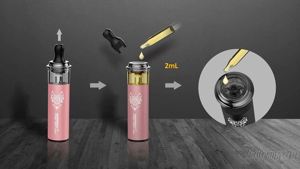 Snowwolf Fuel Cell Mini Pod 3.jpg