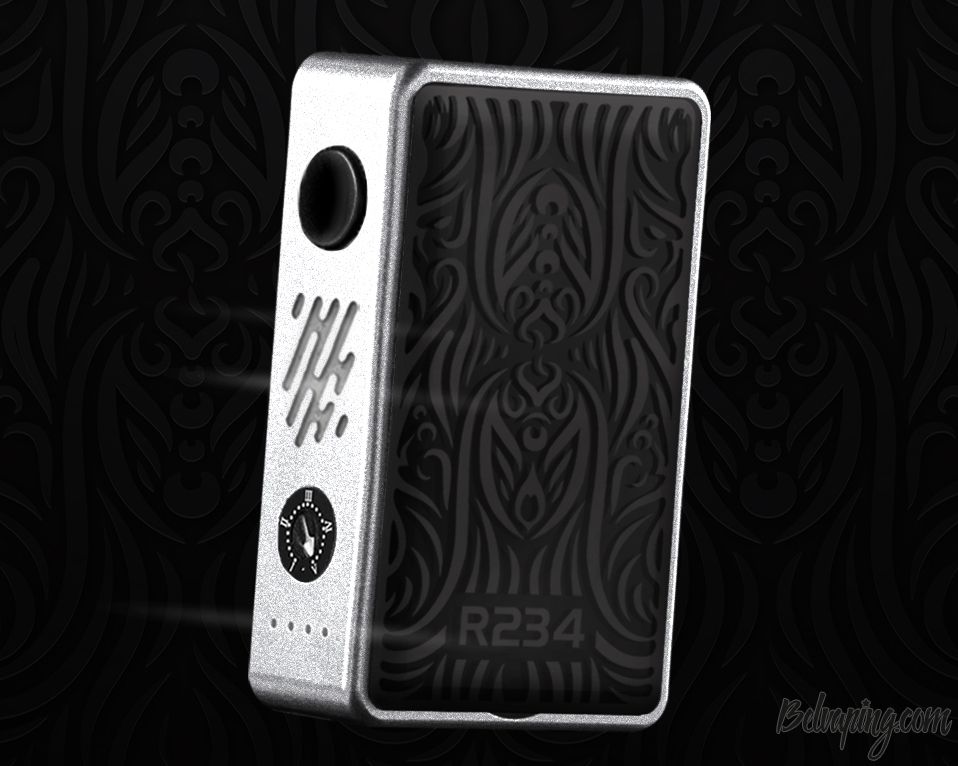 Hotcig R234 Box Mod 8.jpg