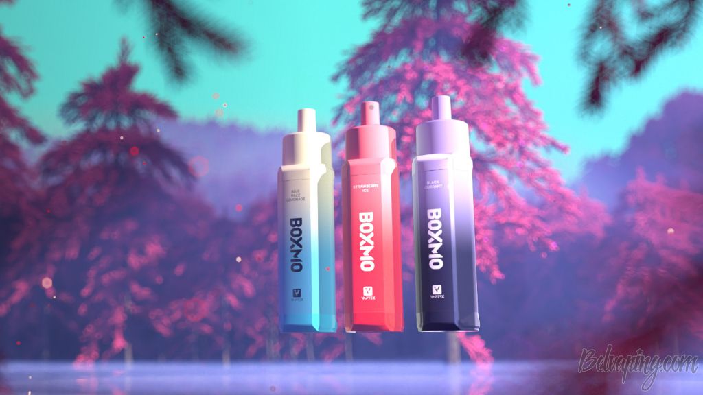 Vaptex Boxmo Disposable Kit (1).jpg