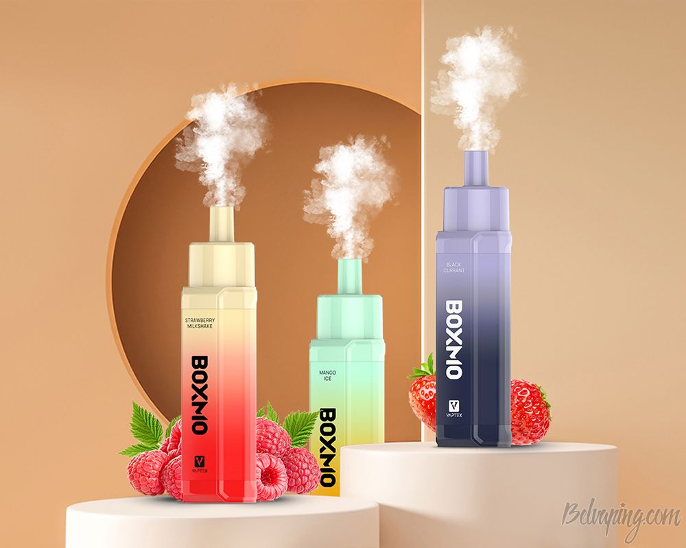 Vaptex Boxmo Disposable Kit (3).jpg