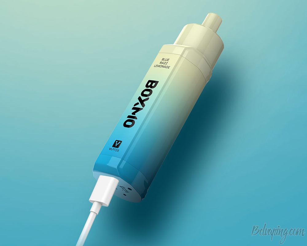 Vaptex Boxmo Disposable Kit (4).jpg