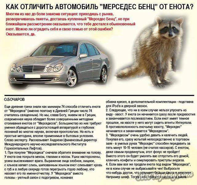 24_n.jpg