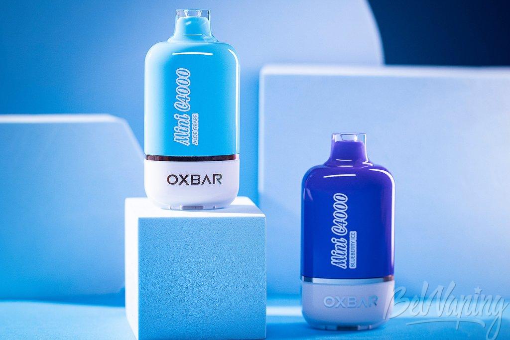 OXBAR Mini C4000 Kit 2.jpg
