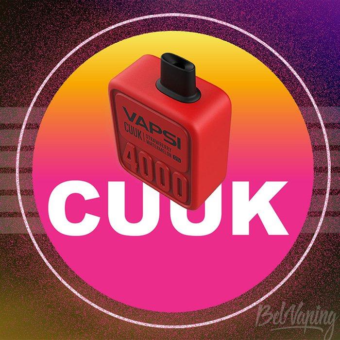 Vapsi CUUK 4000 Kit (3).jpg