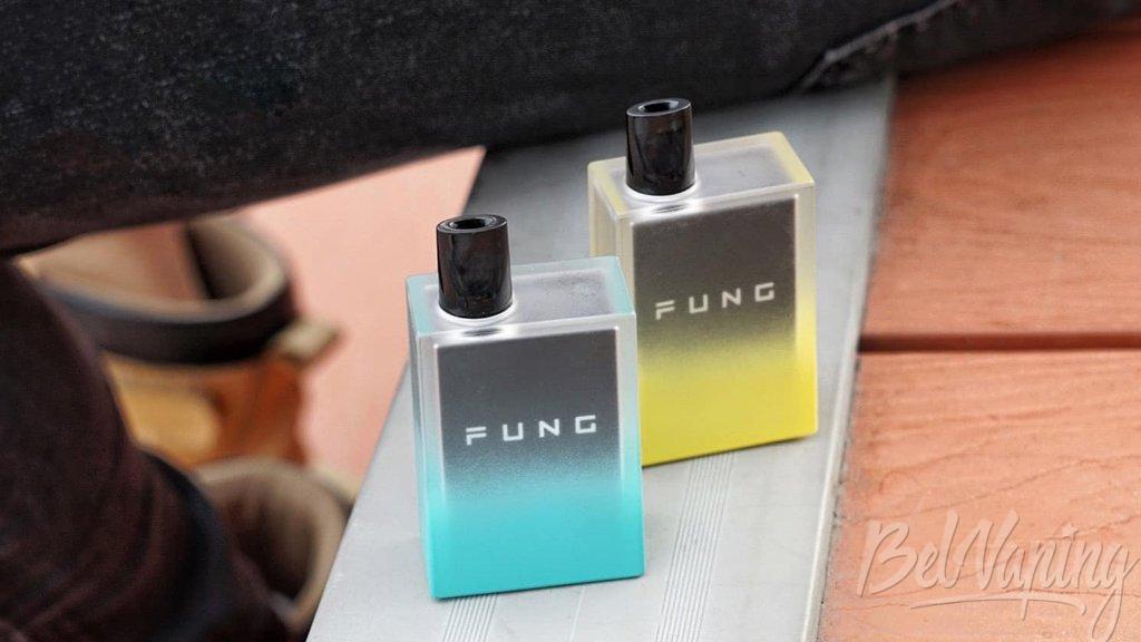 Fung Vape Ice Disposable Kit.jpg