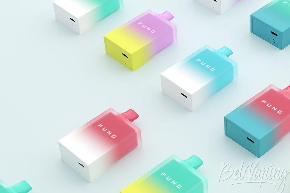 Fung Vape Ice Disposable Kit 2.jpg