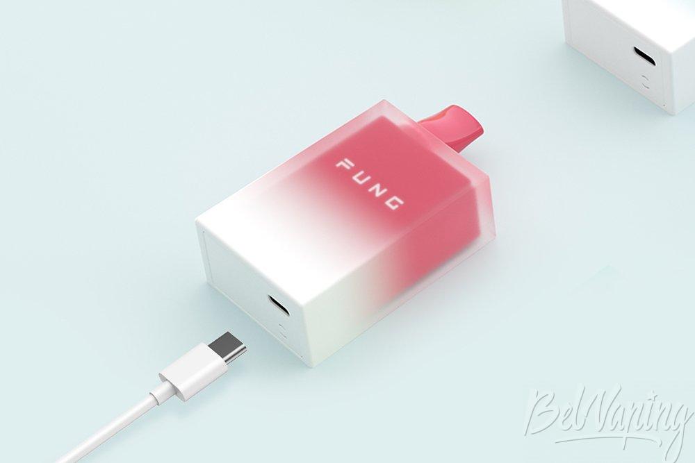 Fung Vape Ice Disposable Kit 3.jpg