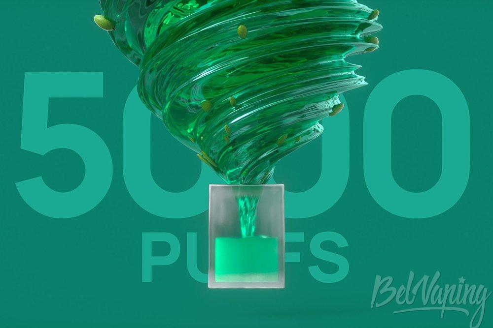 Fung Vape Ice Disposable Kit 4.jpg