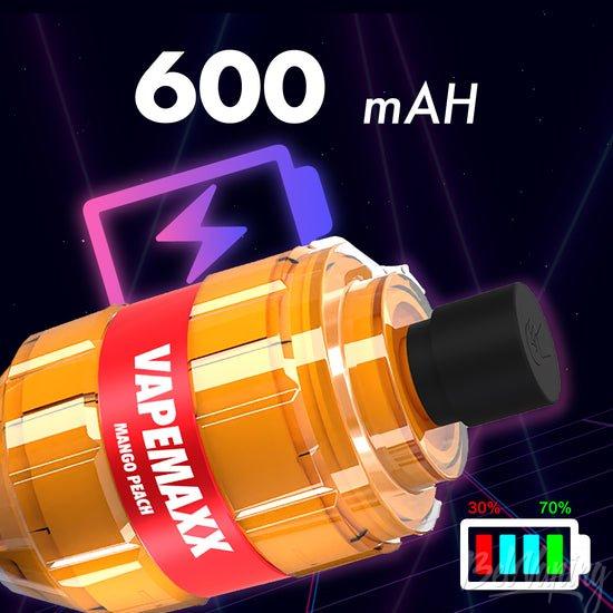 Vault Vape VAPEMAXX Kit 4.jpg