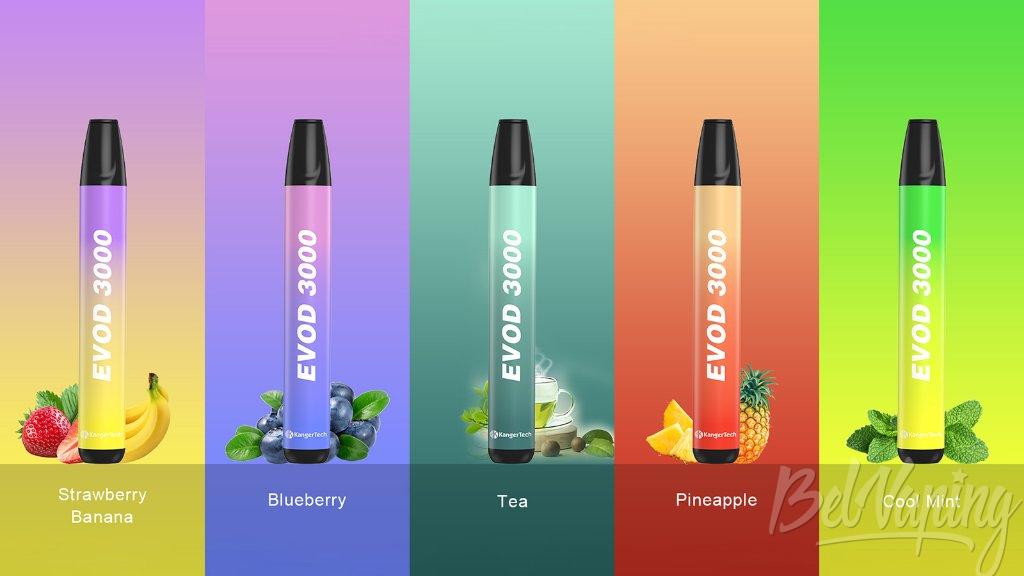 Kangertech Evod 3000 Kit 2.jpg