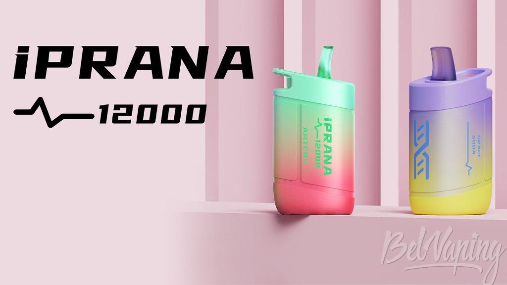 Artery iPRANA 12000.jpg