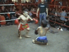 file (7).gif