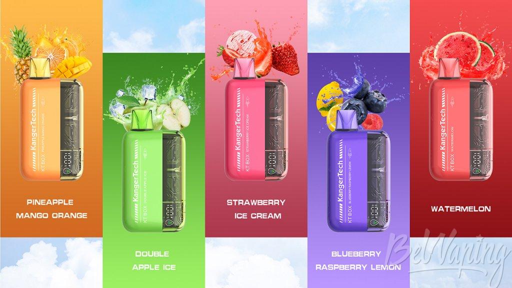 Kangertech KT Box 2.jpg