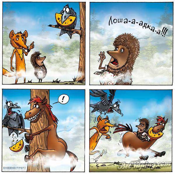 horse.jpg