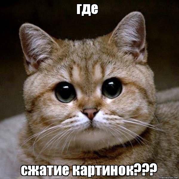 jgkev7.jpg