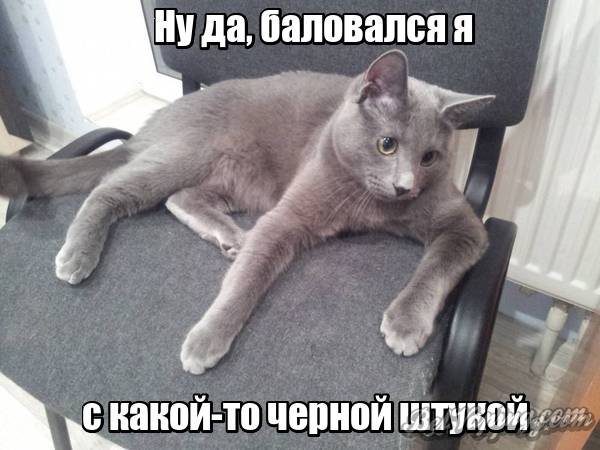 lol1450473699.jpg