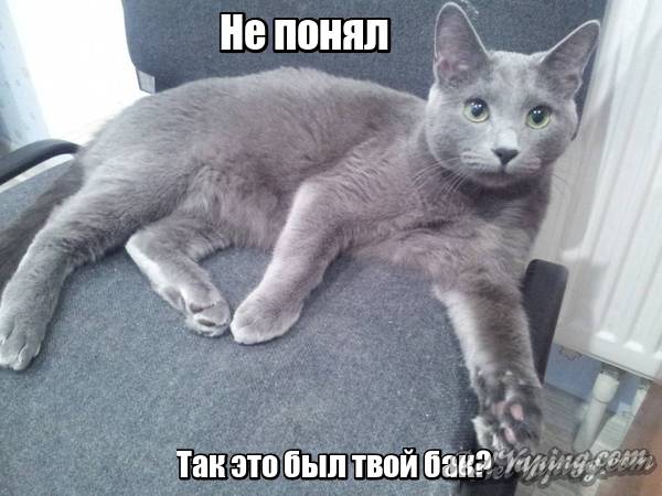 lol1450473839.jpg