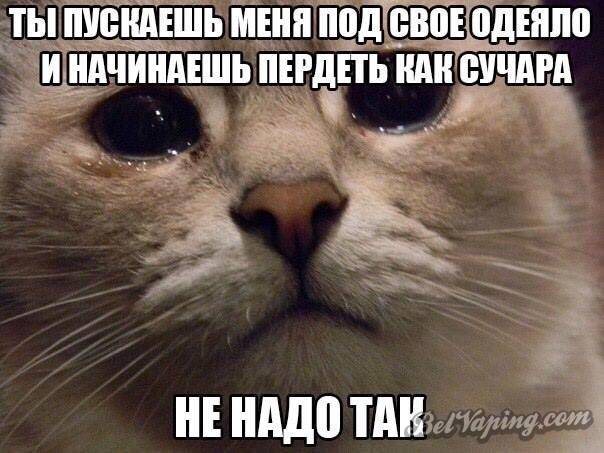 12366395_1656039791326478_7282374905127489510_n.jpg