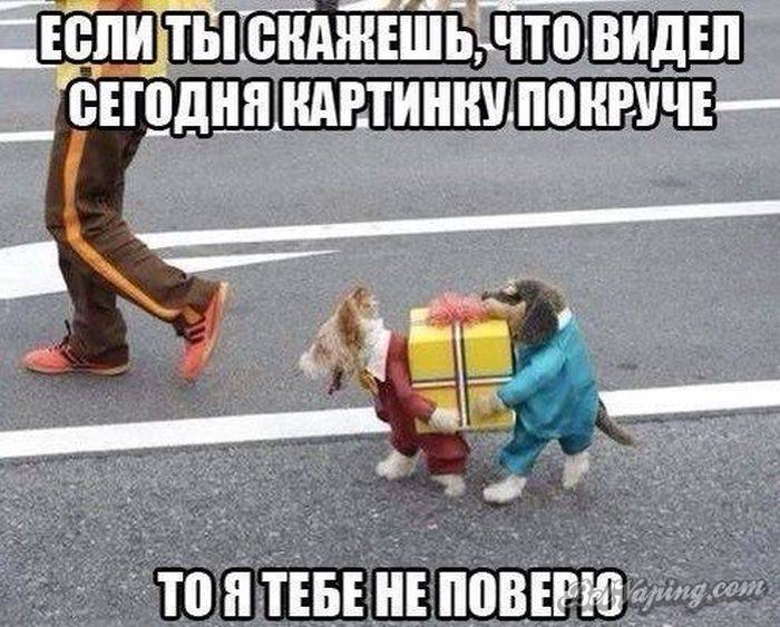 1449602534_17.jpg