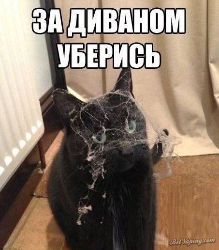 a9ZCV24oQto.jpg