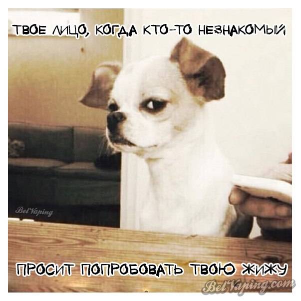 5HBN4lwsoU4.jpg